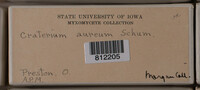 Image Associated With the Occurence